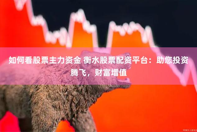 如何看股票主力资金 衡水股票配资平台：助您投资腾飞，财富增值