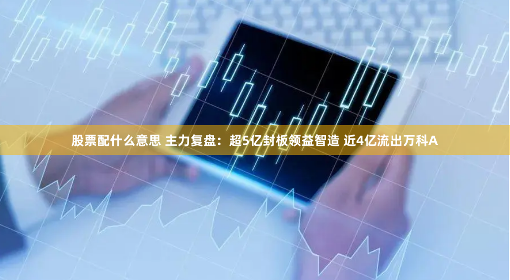 股票配什么意思 主力复盘：超5亿封板领益智造 近4亿流出万科A
