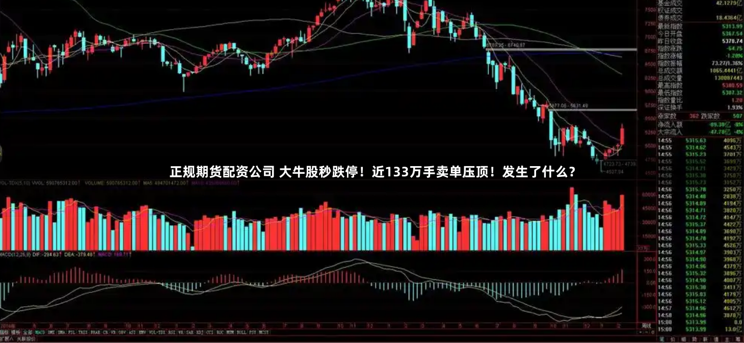 正规期货配资公司 大牛股秒跌停！近133万手卖单压顶！发生了什么？