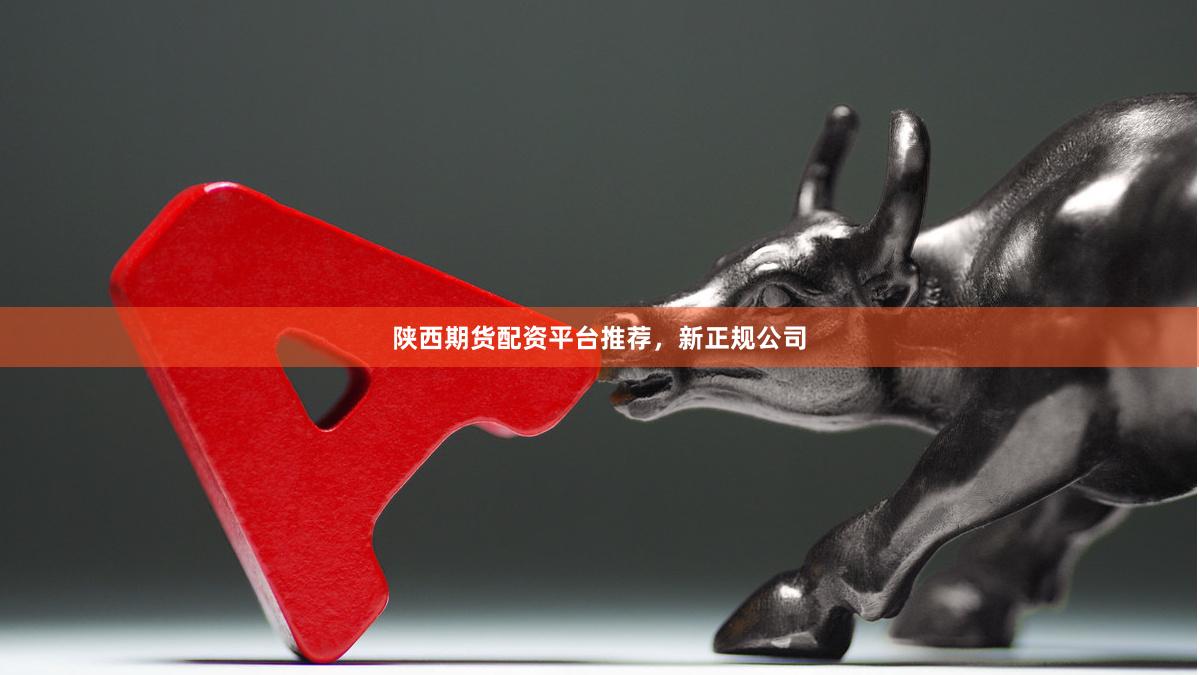 陕西期货配资平台推荐，新正规公司